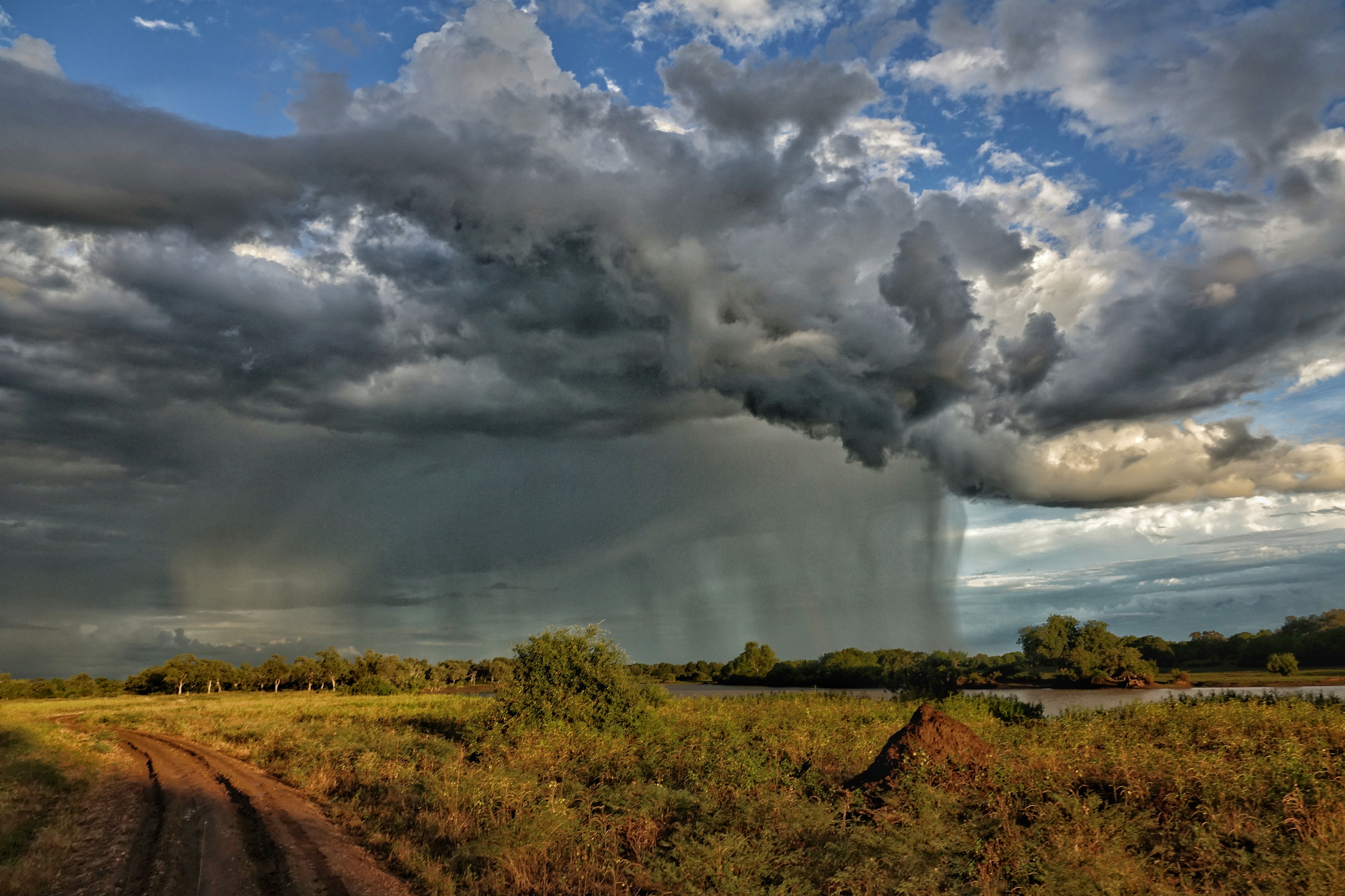Ciel d'orage sur la savane